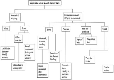 Utility of indocyanine green fluorescent dye in emergency general surgery: a review of the contemporary literature